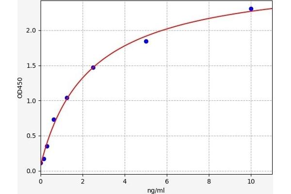 MTOR ELISA Kit