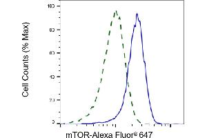 Validation of mTOR knockdown using flow cytometry. (Rekombinanter MTOR Antikörper)