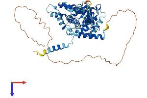 MICU1 Protein (AA 1-476) (His tag)
