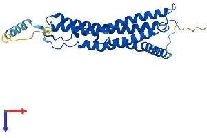 PSME1 Protein (AA 1-249) (His tag)