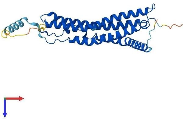 PSME1 Protein (AA 1-249) (His tag)