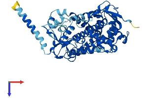Protein Structure (PS) image for Cytochrome P450, Family 2, Subfamily D, Polypeptide 10 (CYP2D10) (AA 1-504) protein (His tag) (ABIN7562996)