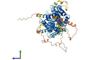 Protein Structure (PS) image for Diacylglycerol Lipase, beta (DAGLB) (AA 1-669) protein (His tag) (ABIN7560030)