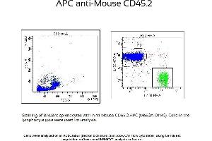 Image no. 1 for anti-CD45 (CD45.2 Allogen) antibody (APC) (ABIN1112456) (CD45.2 Antikörper  (APC))