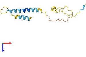 PDZK1 Interacting Protein 1 (PDZK1IP1) (AA 1-114) protein (His tag)