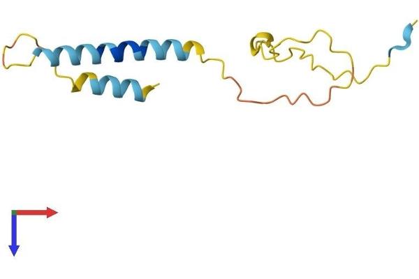 PDZK1 Interacting Protein 1 (PDZK1IP1) (AA 1-114) protein (His tag)