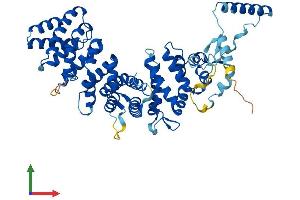 AlphaFold protein structure predicition of Human Recombinant RIC8A Protein, UniprotID Q9NPQ8