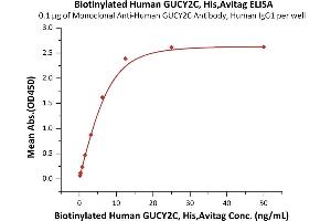 ELISA image for Guanylate Cyclase 2C (Heat Stable Enterotoxin Receptor) (GUCY2C) (AA 24-430) (Active) protein (His tag,AVI tag,Biotin) (ABIN6973084)