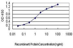 Detection limit for recombinant GST tagged AKT3 is approximately 0. (AKT3 Antikörper  (AA 100-189))