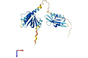 STAP1 Protein (AA 1-295) (His tag)