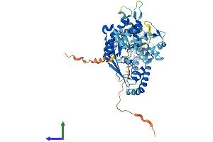 Protein Structure (PS) image for Lysophosphatidylcholine Acyltransferase 4 (LPCAT4) (AA 1-524) protein (His tag) (ABIN7554418)