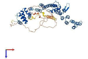 VIPAR Protein (AA 1-493) (His tag)