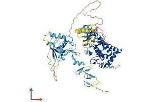 Protein Structure (PS) image for LIM Domain Kinase 2 (LIMK2) (AA 1-638) protein (His tag) (ABIN7562410)
