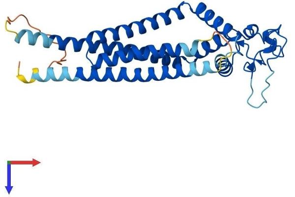Tetraspanin 15 Protein (TSPAN15) (AA 1-294) (His tag)