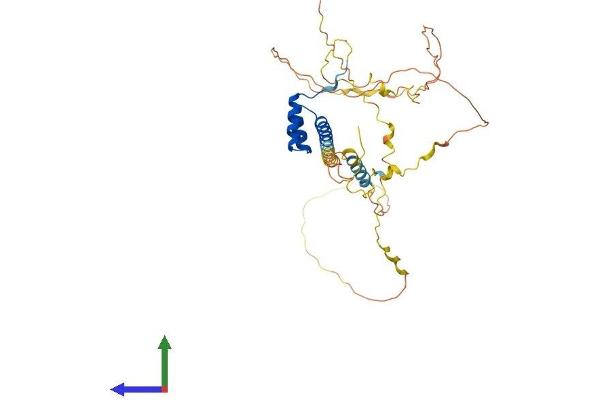 NKX6-1 Protein (AA 1-367) (His tag)