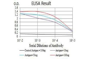 Black line: Control Antigen (100 ng),Purple line: Antigen (10 ng), Blue line: Antigen (50 ng), Red line:Antigen (100 ng) (CD63 Antikörper  (AA 103-203))