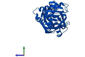 Protein Structure (PS) image for D-Aspartate Oxidase (DDO) (AA 1-341) protein (His tag) (ABIN7550400)