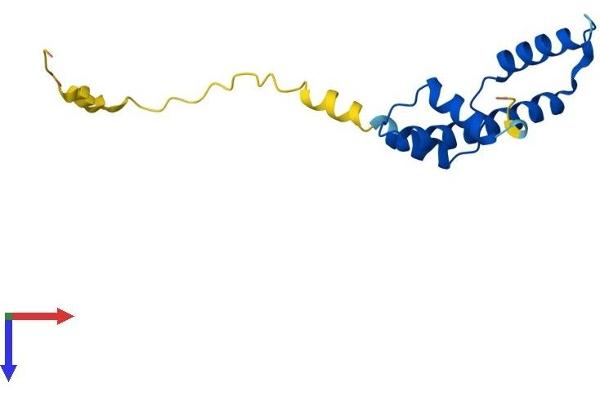 CENPA Protein (AA 1-140) (His tag)