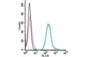 Cell surface detection of Neogenin by direct flow cytometry in live intact mouse J774 macrophage cells: + Rabbit IgG isotype control-FITC.