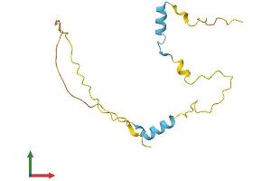 Protein Structure (PS) image for Host Cell Factor C1 Regulator 1 (XPO1 Dependent) (HCFC1R1) (AA 1-138) protein (His tag) (ABIN7548338)