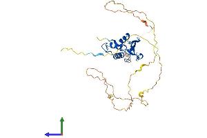 Protein Structure (PS) image for Interferon Regulatory Factor 2 (IRF2) (AA 1-349) protein (His tag) (ABIN7562990)