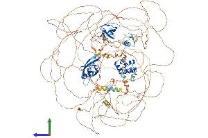 Protein Structure (PS) image for SH3 and Multiple Ankyrin Repeat Domains 2 (SHANK2) (AA 1-1476) protein (His tag) (ABIN7564306)