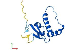 Protein Structure (PS) image for Transcription Elongation Factor B (SIII), Polypeptide 1 (15kDa, Elongin C) (TCEB1) (AA 1-112) protein (His tag) (ABIN7556758)