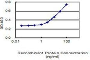 Detection limit for recombinant GST tagged LRRC34 is 1 ng/ml as a capture antibody. (LRRC34 Antikörper  (AA 1-419))