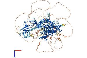 KDM3A Protein (AA 1-1321) (His tag)