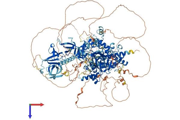 KDM3A Protein (AA 1-1321) (His tag)