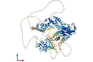Protein Structure (PS) image for GTF2I Repeat Domain Containing 2 (GTF2IRD2) (AA 1-949) protein (His tag) (ABIN7548234)