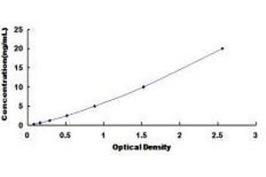 Syncoilin (Sync) ELISA Kit