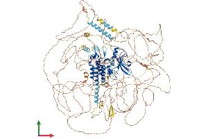 Protein Structure (PS) image for Lemur tyrosine Kinase 2 (LMTK2) (AA 1-1503) protein (His tag) (ABIN7554451)