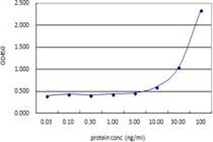 ACTN4 (Human) Matched Antibody Pair
