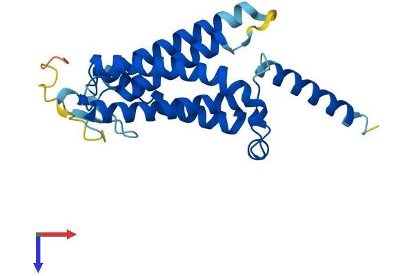 DOLPP1 Protein (AA 1-238) (His tag)