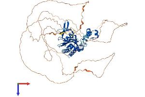 ITPKC Protein (AA 1-678) (His tag)