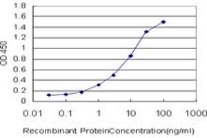 Detection limit for recombinant GST tagged PCDH7 is approximately 0. (PCDH7 Antikörper  (AA 31-124))