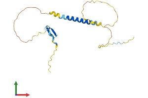Protein Structure (PS) image for Tumor Necrosis Factor Receptor Superfamily, Member 13C (TNFRSF13C) (AA 1-184) protein (His tag) (ABIN7544767)