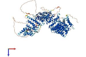 HEATR6 Protein (AA 1-1184) (His tag)