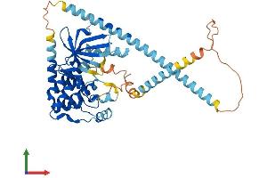Protein Structure (PS) image for NIMA (Never in Mitosis Gene A)-Related Kinase 2 (NEK2) (AA 1-443) protein (His tag) (ABIN7562391)