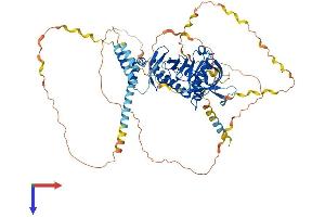 Amyloid beta (A4) Precursor Protein-Binding, Family B, Member 1 Interacting Protein (APBB1IP) (AA 1-670) protein (His tag)