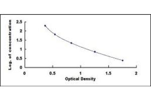 Image no. 1 for Amyloid beta 1-42 (Abeta 1-42) ELISA Kit (ABIN1873408)