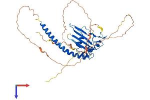 TSPYL1 Protein (AA 1-379) (His tag)
