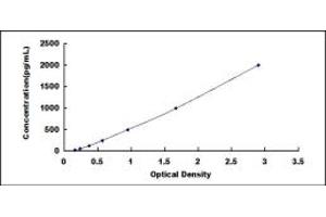 Typical standard curve (BMP2 ELISA Kit)