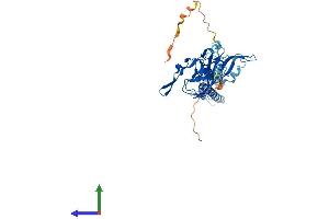 Protein Structure (PS) image for Potassium Inwardly-Rectifying Channel, Subfamily J, Member 11 (KCNJ11) (AA 1-390) protein (His tag) (ABIN7554262)