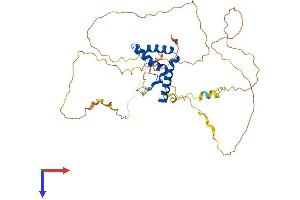SOX11 Protein (AA 1-395) (His tag)