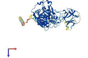 GALNT14 Protein (AA 1-550) (His tag)