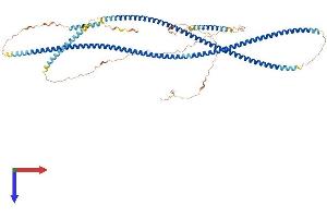 Golgin A6 Family, Member D (GOLGA6D) (AA 1-693) protein (His tag)