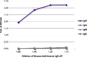 ELISA plate was coated with purified human IgD, IgG, IgM, and IgA. (Maus anti-Human IgD (Heavy Chain) Antikörper (Alkaline Phosphatase (AP)))