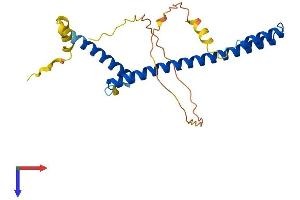 HES6 Protein (AA 1-224) (His tag)